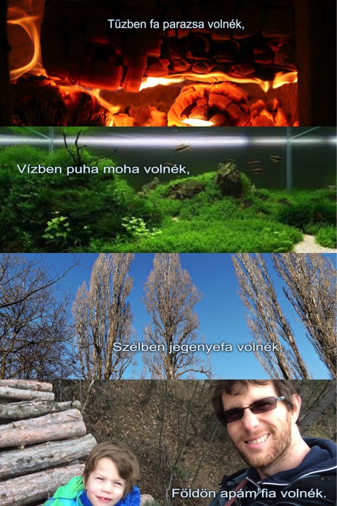 Mi volnék?